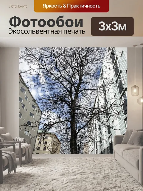 Фотообои Здания