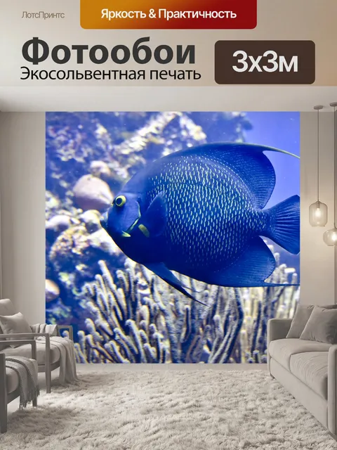 Фотообои Синий морской рыбы