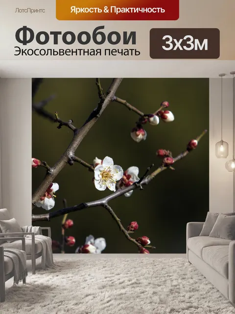 Фотообои Цветение сливы