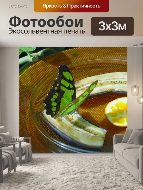 Фотообои Бабочка