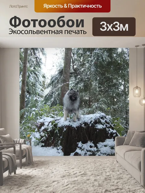 Фотообои Снег