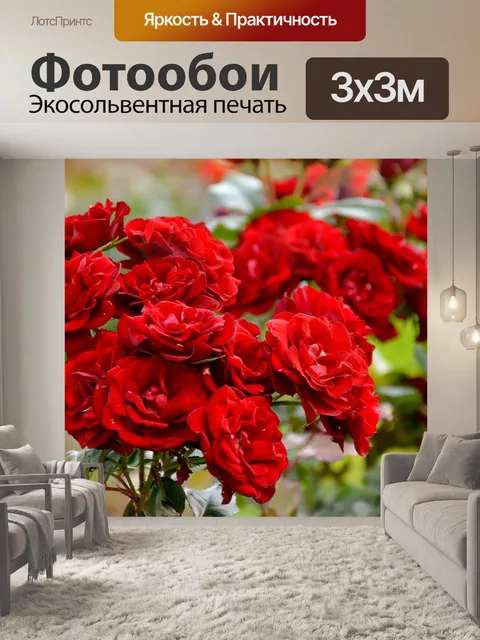 Фотообои Розы