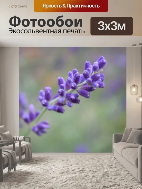 Фотообои Лаванда