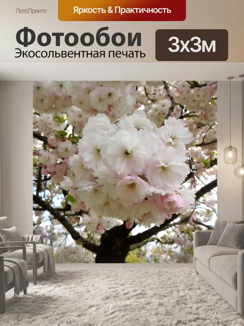 Фотообои Сакура