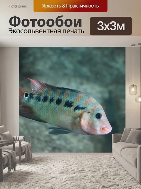 Фотообои Рыбы