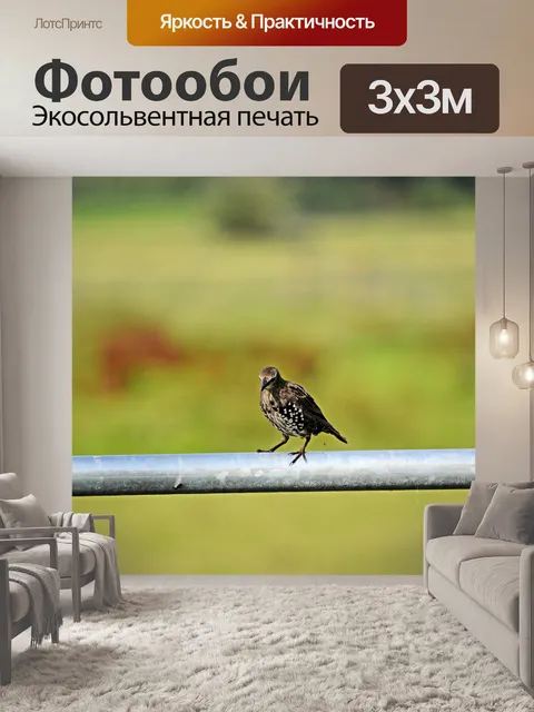 Фотообои Птицы