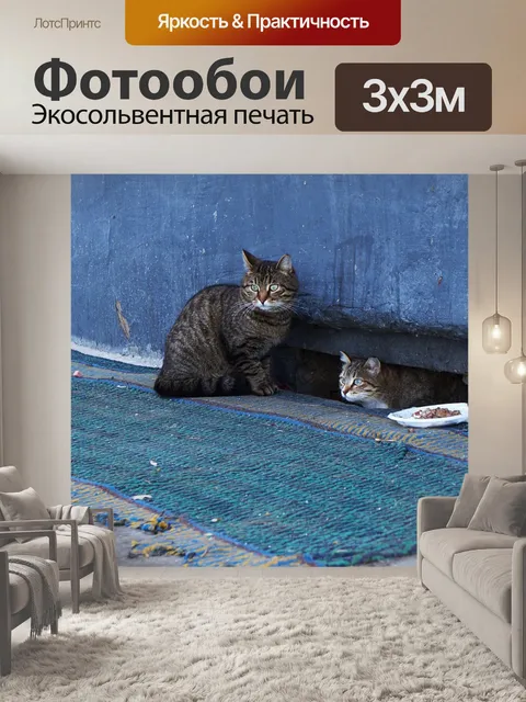 Фотообои Кошки