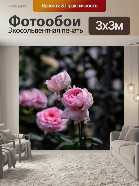 Фотообои Розы