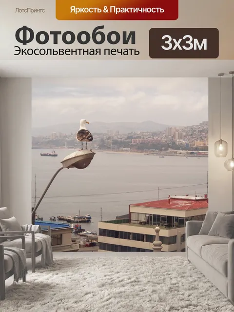 Фотообои Птица