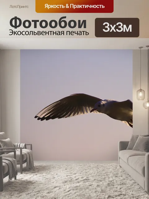Фотообои Птица