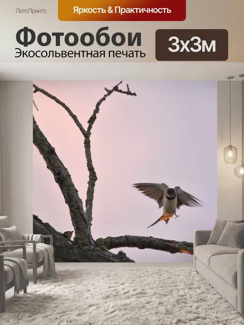Фотообои Дерево