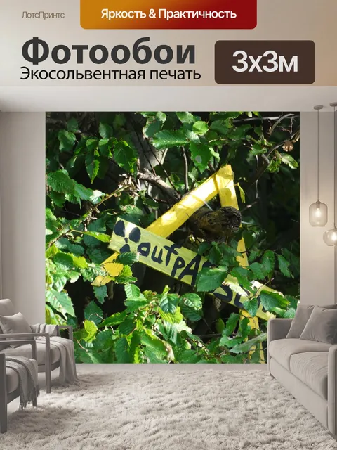 Фотообои Тузы