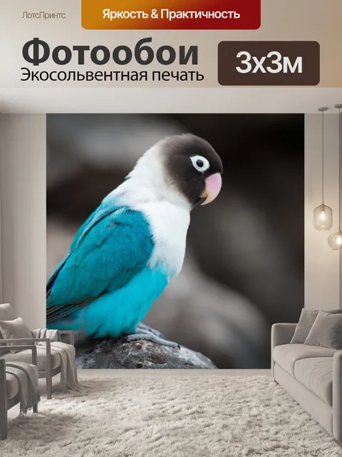 Фотообои Птицы