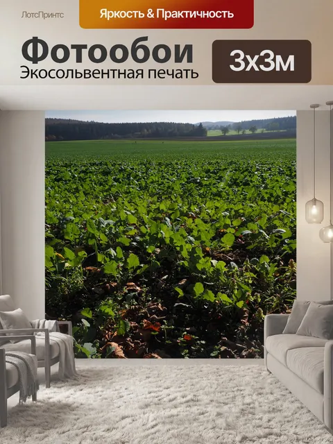 Фотообои Листья