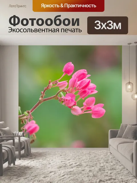 Фотообои Цветок орхидеи