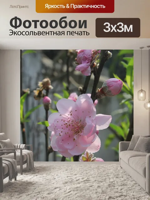 Фотообои Персиковый цвет