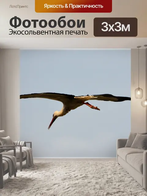 Фотообои Аист