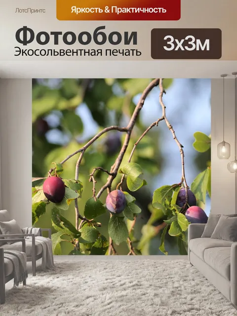 Фотообои Сливы