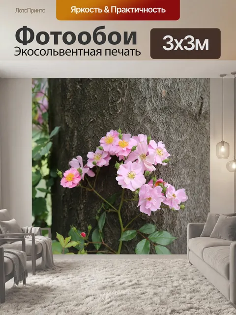 Фотообои Цветок