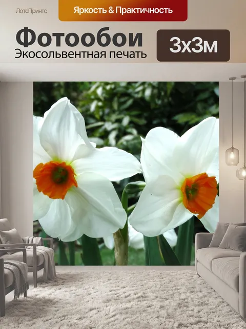 Фотообои Весенние цветы