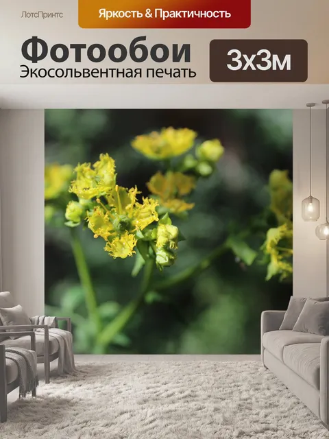 Фотообои Цветы