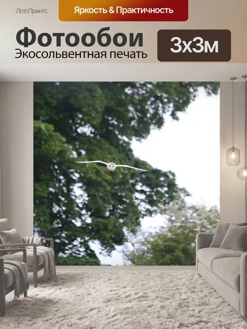 Фотообои Сова