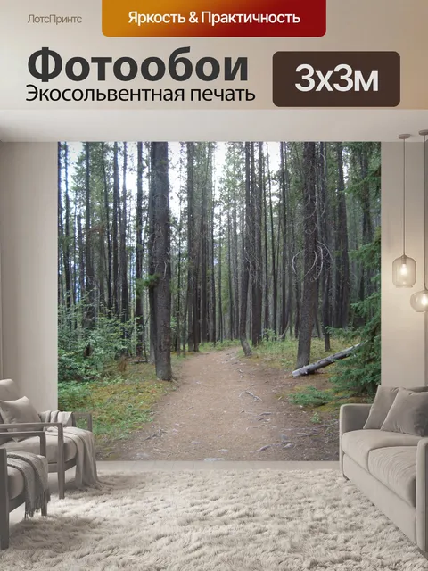 Фотообои Путь в лесу