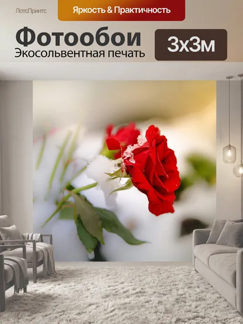 Фотообои Роза