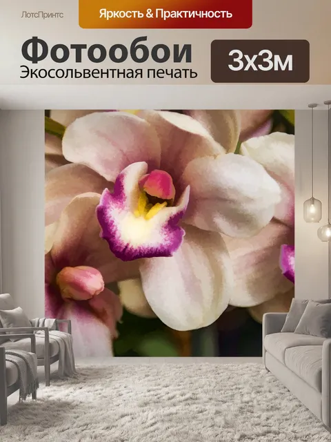 Фотообои Орхидеи