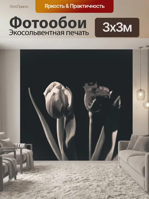 Фотообои Темный