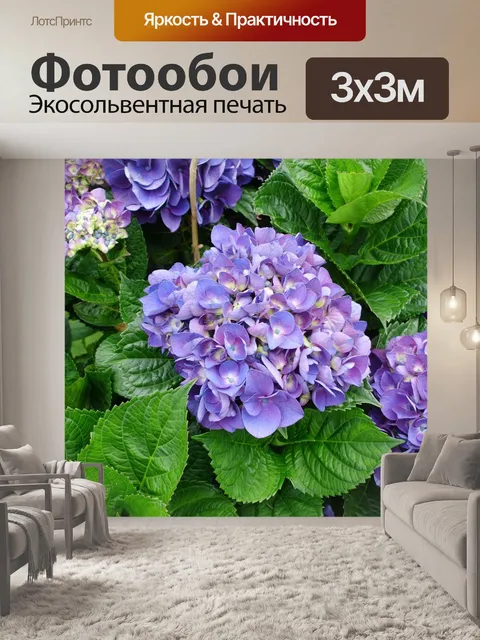Фотообои Цветы