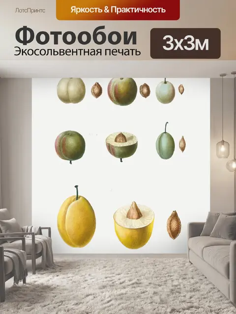 Фотообои Сливы марочные