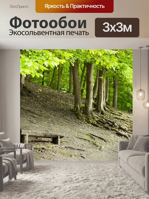 Фотообои Скамейка
