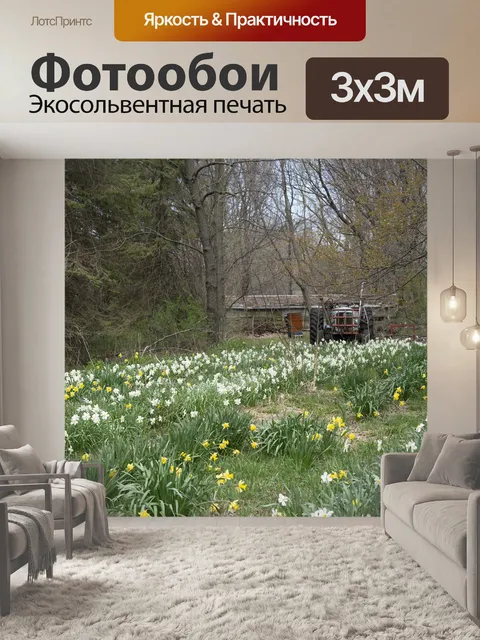 Фотообои Цветы