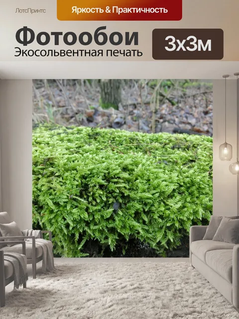 Фотообои Природа