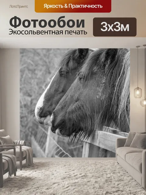 Фотообои лошадь