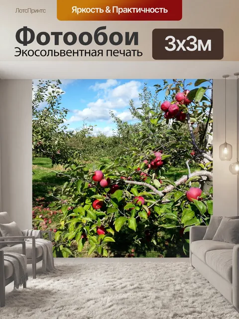 Фотообои Apple Orchard
