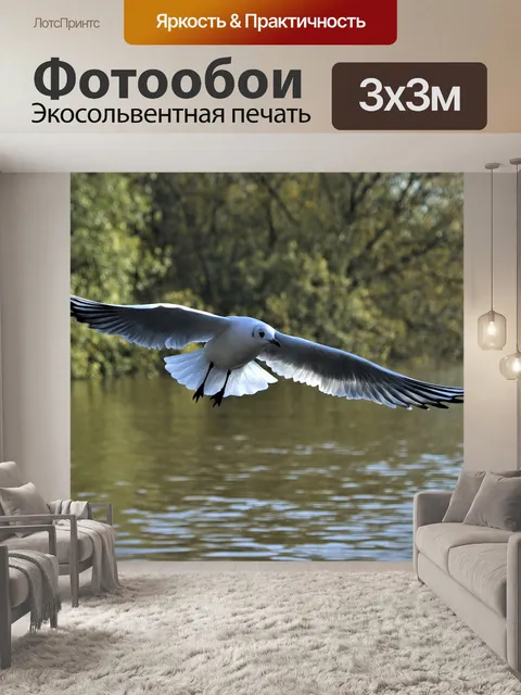 Фотообои Птица