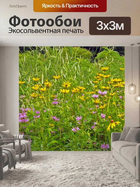 Фотообои Полевые цветы и сорняки