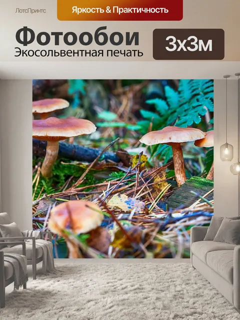 Фотообои Лес