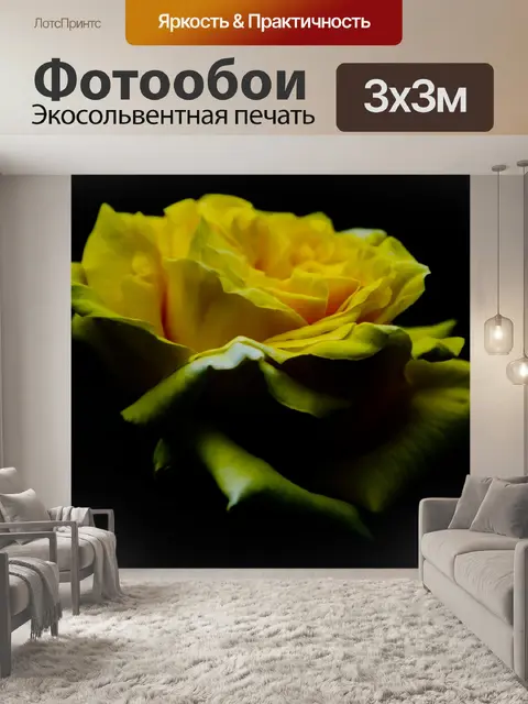 Фотообои Цветок