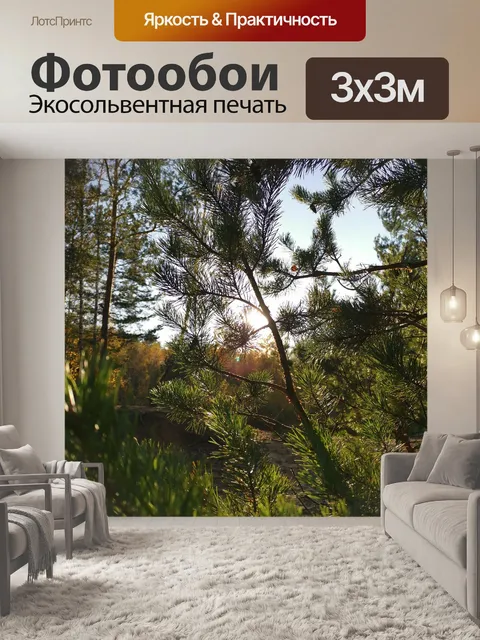 Фотообои Лес
