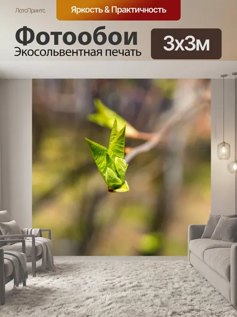 Фотообои Весна