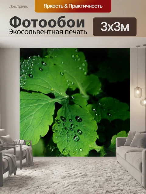 Фотообои Листья