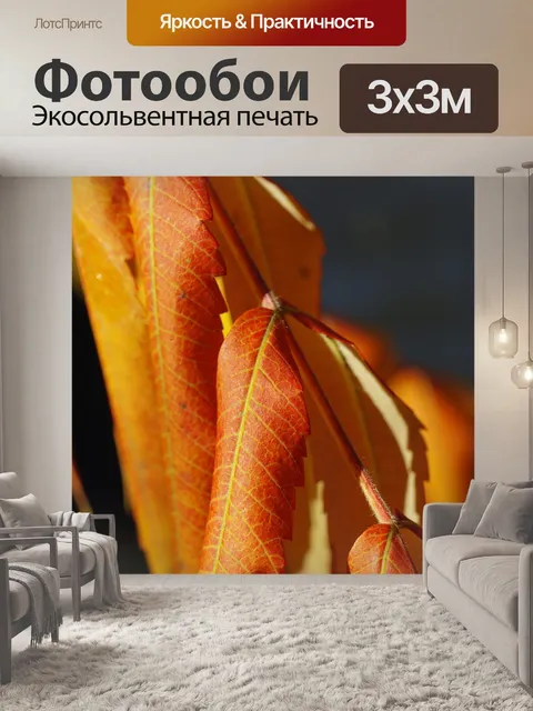 Фотообои Листья