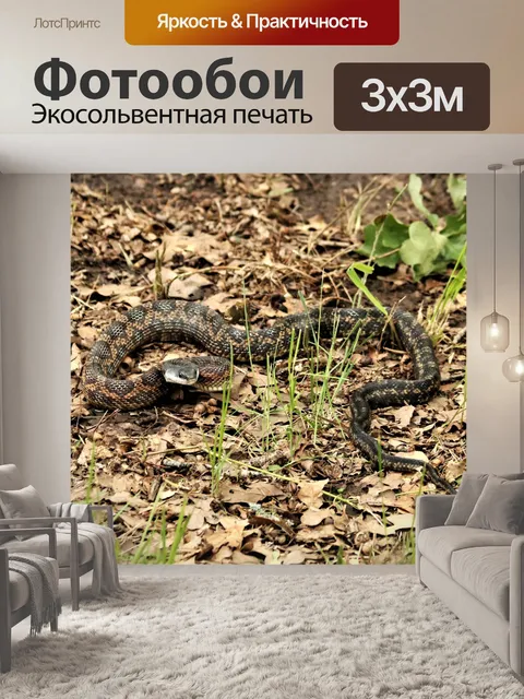 Фотообои Куриная змея в листьях
