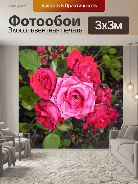 Фотообои Розы