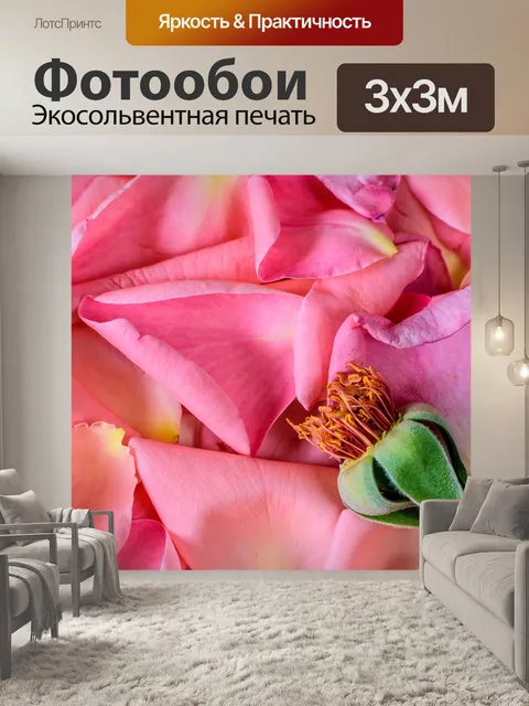 Фотообои Цветы