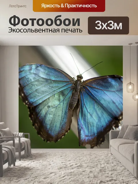Фотообои Бабочка
