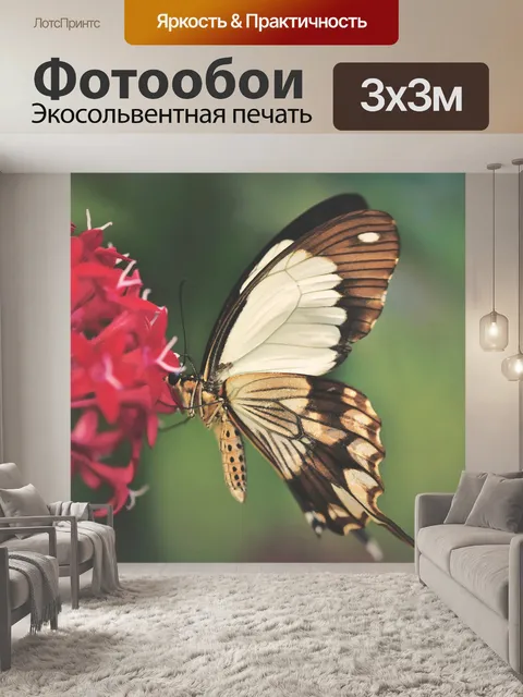 Фотообои Бабочка